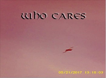 NYC fishermen's words nyc fishing trip who cares